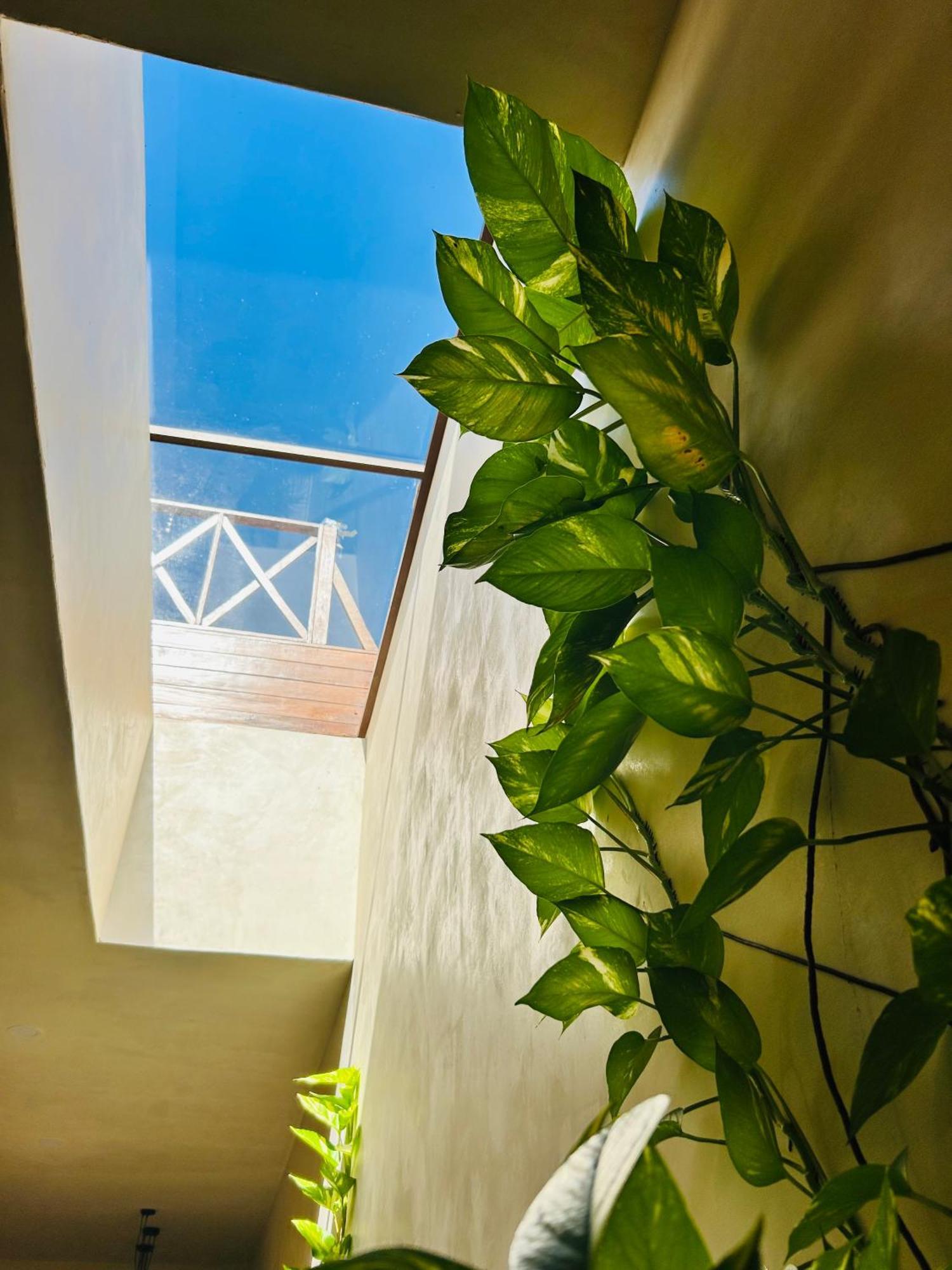 Apartament Sunsteps Casa Holbox Zewnętrze zdjęcie